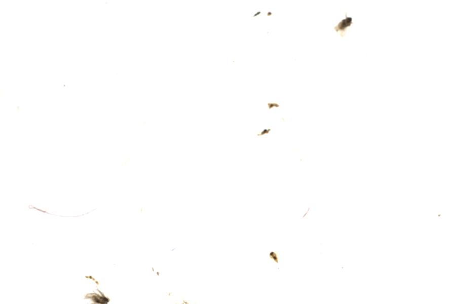 Image 111
